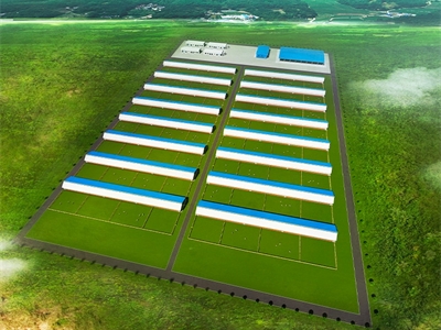鄂尔多斯鄂托克旗阿尔巴斯苏木乌兰其日嘎嘎查养殖基地